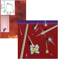 Nanorribons MMX Polymers