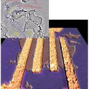 Large electrodos and TEM